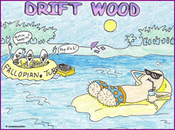 Drift Wood